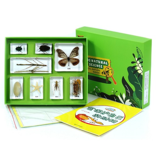 Resin sample blocks with - resin,