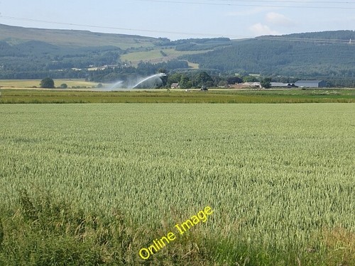 Photo 6x4 wheat dunshalt - photo,