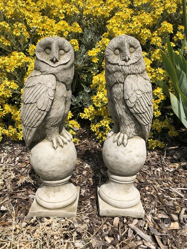 Pair barn owl finials - of,