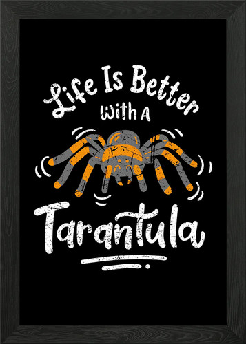 Life better with tarantula - life,
