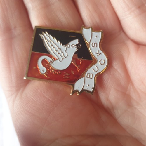 Vtg pin badge - ,