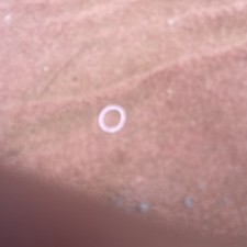 R380 Gearbox 300tdi Manual And Transfer case With Ratio For Big Wheels