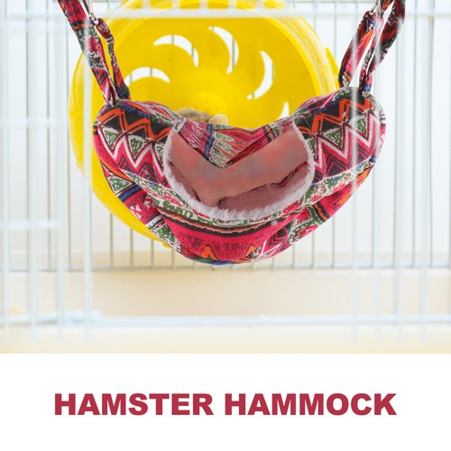 Adorable hamster hammock rat - hamster,