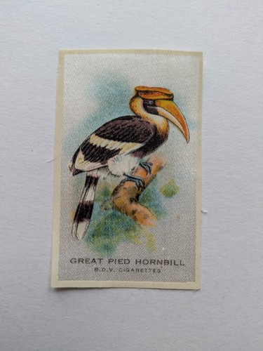 Cigarette card godfrey - cigarette,