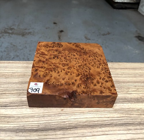 Thuya burr 8 - x, 2”