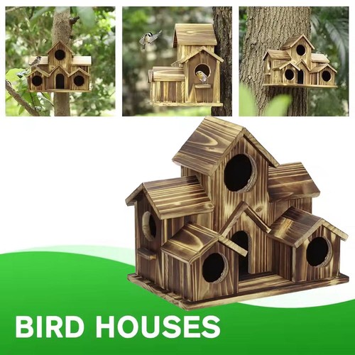Wood hole bird - 5, outside