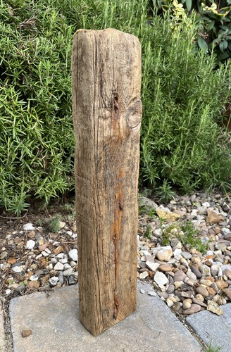 Large character real driftwood - real,