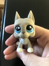 Littlest Pet Shop  #184 Great