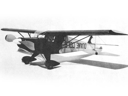 Clipped wing taylorcraft - clipped,
