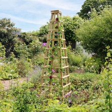 Wooden garden obelisk climbing - garden,