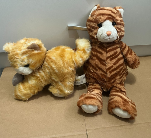 Ginger orange tabby striped - orange,