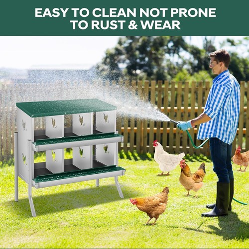 Compartment chicken nest - chicken, box