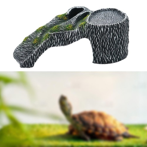 Turtles house tortoise - turtles,