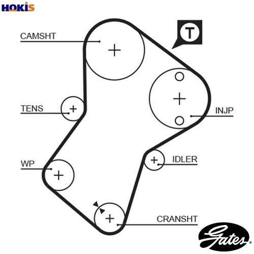 Timing belt 5049xs for geo - belt,