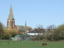 PHOTO  GRAZING IN NORMAN PARK
