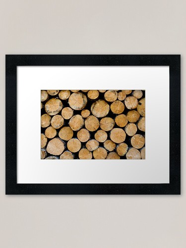 Cut stacked firewood logs - cut,