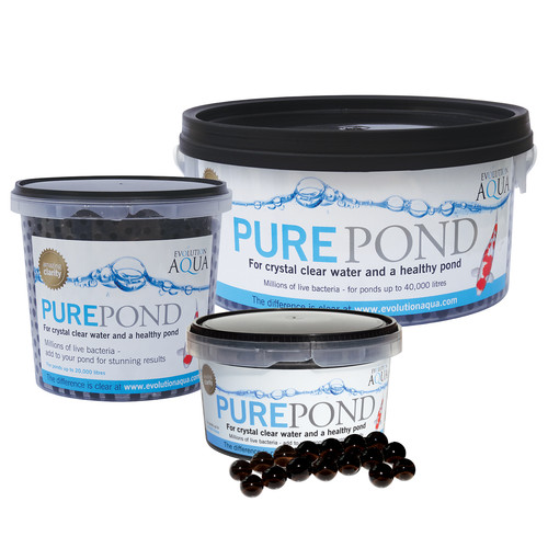 Evolution aqua pure - aqua,