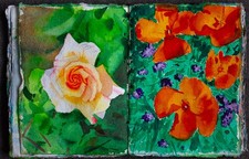 Sketchbook of Original watercolours  nudes portraits landscape architecture art