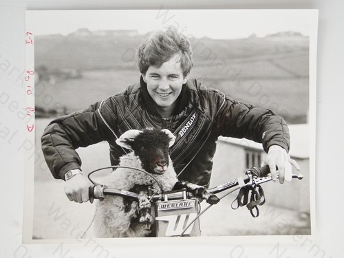 Corey eades motorcyclist - corey, sheep