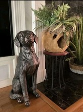 Labrador Retriever Sitting Dog