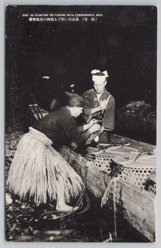 Japan gifu cormorant fishing - gifu,