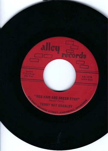 Teen rocker terry ray - rocker-,