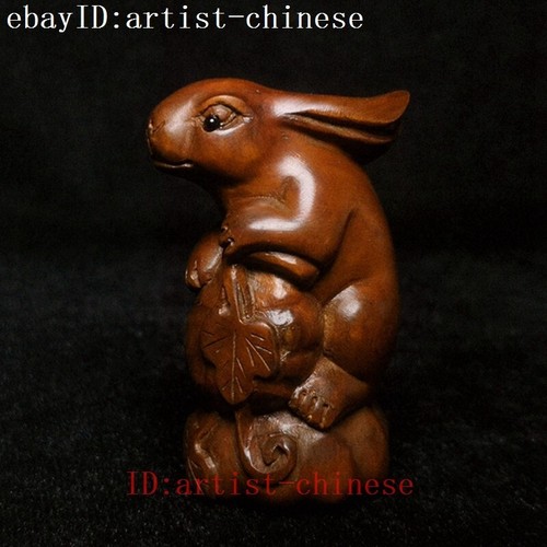 Heig japanese boxwood - heig, cm