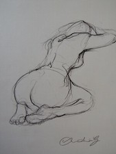 Pencil Drawing female nude