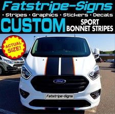 fits Ford Custom Stripes ST