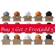 Paper Box Poodle Handcraft