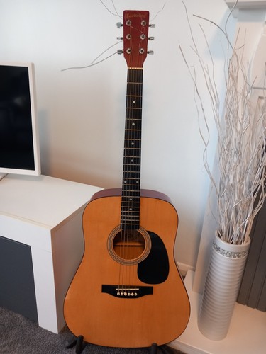 Eastwood acoustic guitar
