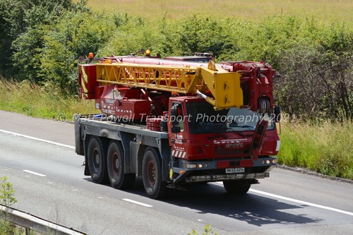 Crane photo 12x8 grove - crane,