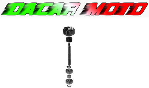 Water pump revision - water, gilera