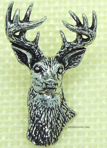 White tailed deer - deer, stag