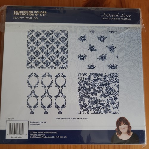 Tattered lace embossing - embossing, folder