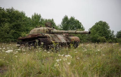 Tank grass wreck military old - grass,