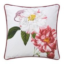 Ted Baker Iguaza Grey 45X45