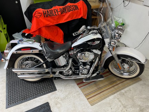 Harley davidson softail - harley, deluxe
