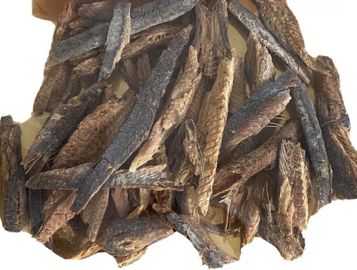 Bonga fillet tasty - -,