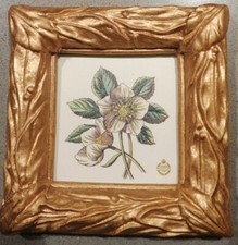 christmas Royal doulton