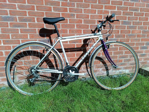 Raleigh pioneer men vintage - pioneer, men's