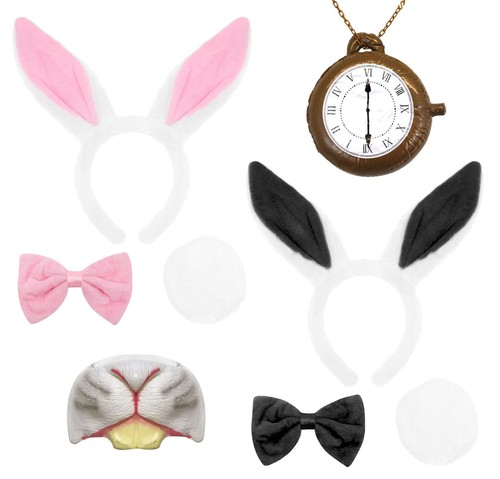 White rabbit fancy - white,
