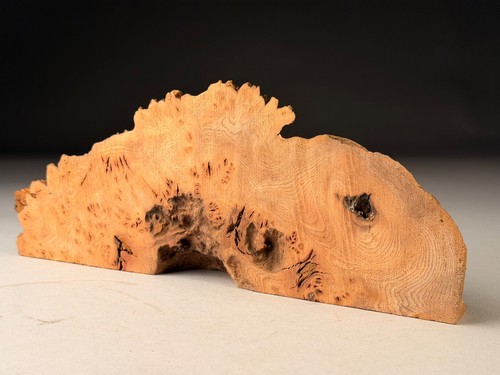 Burr elm resin live edge - elm,
