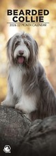 Bearded Collie Dog 2026 Slim