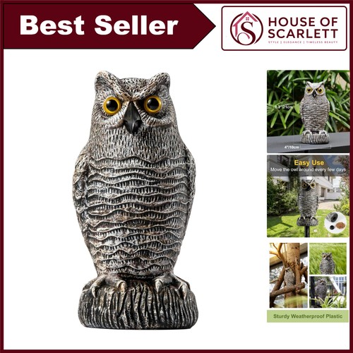 Pigeon bird deterrent owl - pigeon,