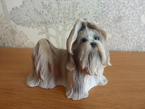 Lhasa apso dog - lhasa, /