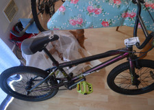 Diamondback Skindog Alienation