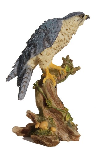 Inch peregrine falcon - inch,