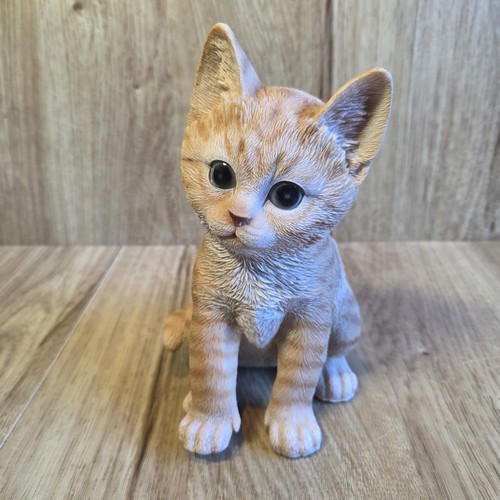 Vivid arts pet - ​vivid,