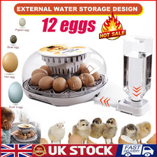 12 Chicken Eggs Incubators for